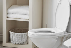 CÓMO MEJORAR EL FUNCIONAMIENTO DEL INODORO